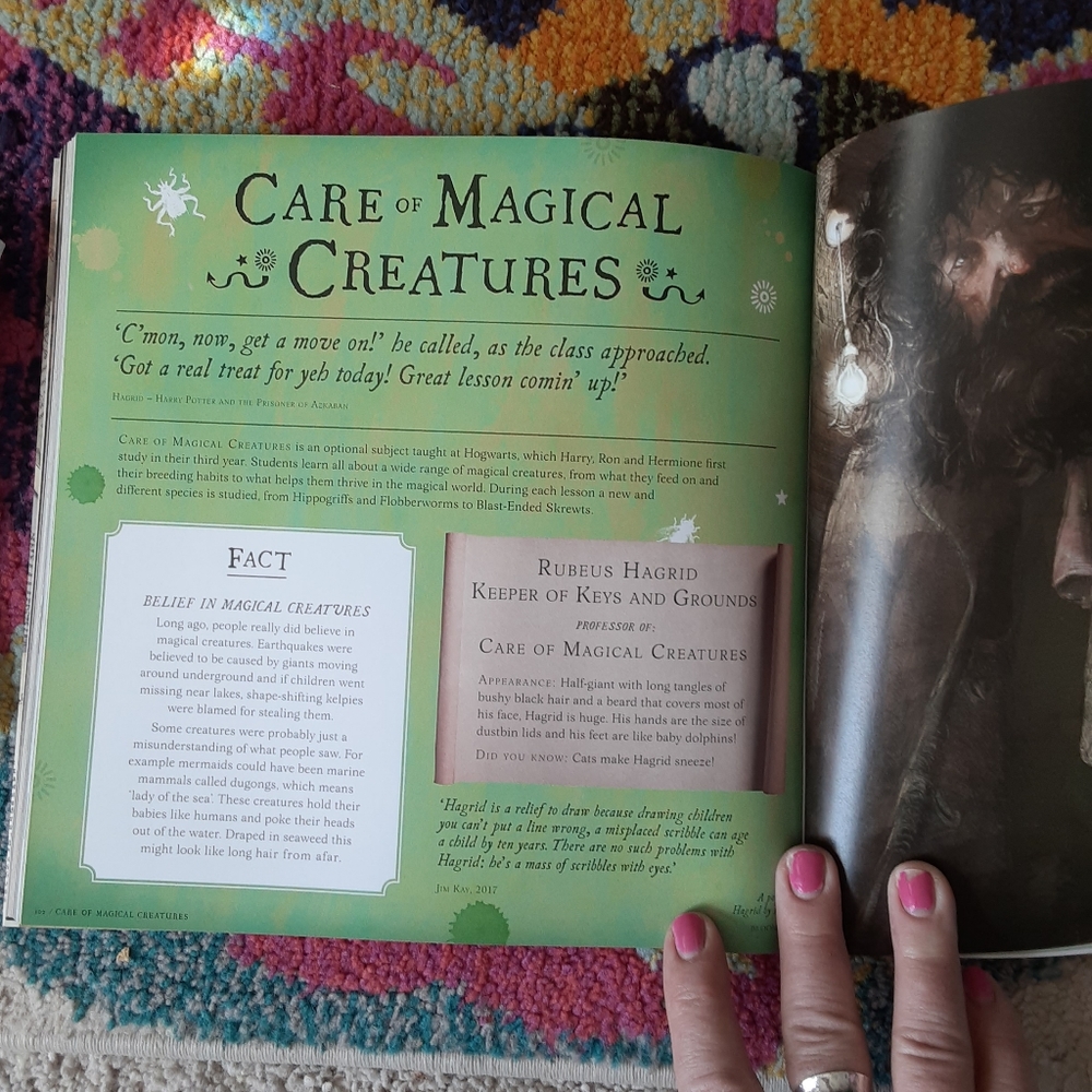 Harry Potter A Journey Through A History of Magic - Picture 5 of 7